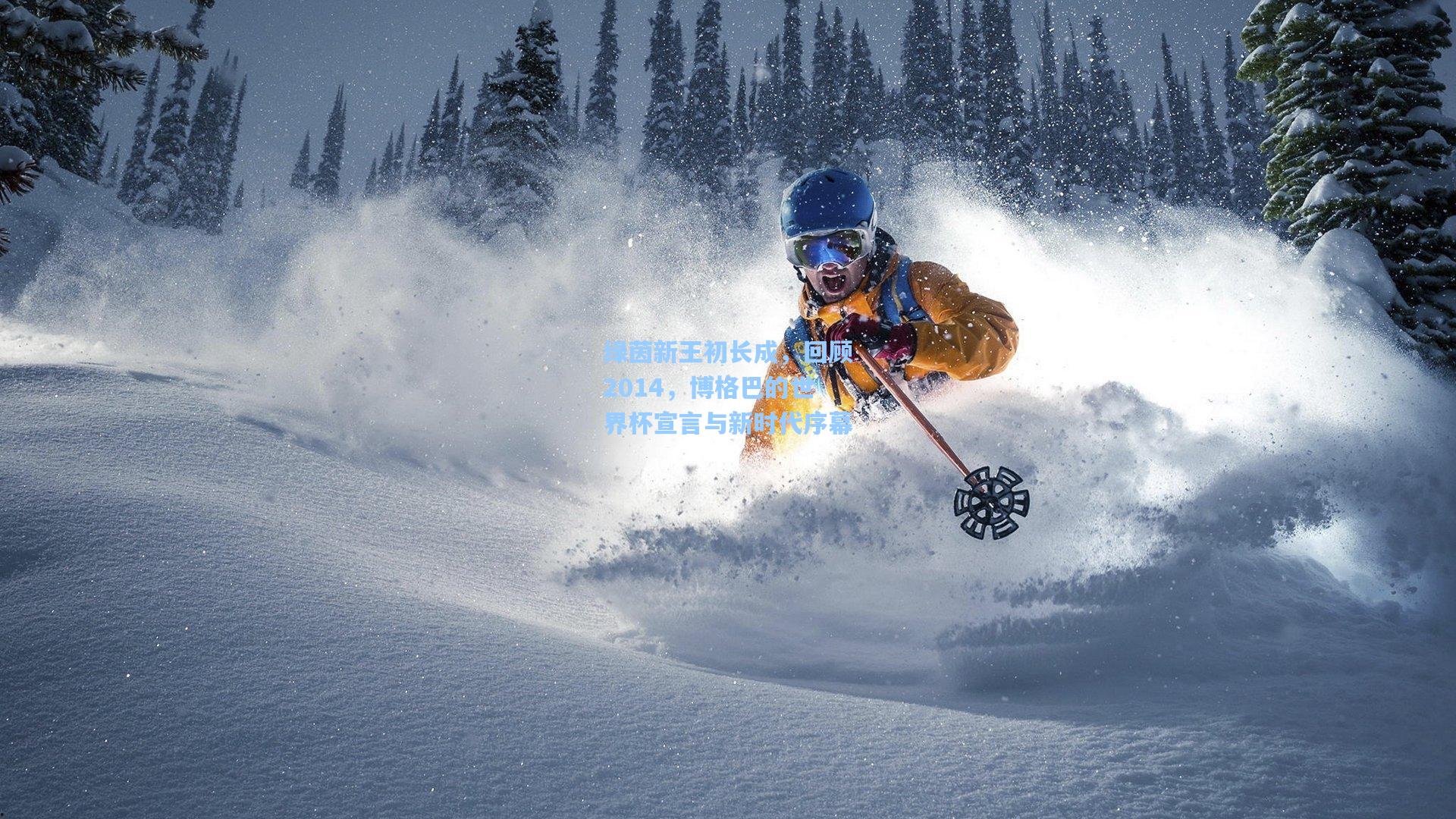 绿茵新王初长成，回顾2014，博格巴的世界杯宣言与新时代序幕